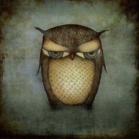 Meet your Posher, Jessie - Picture 1 of 1